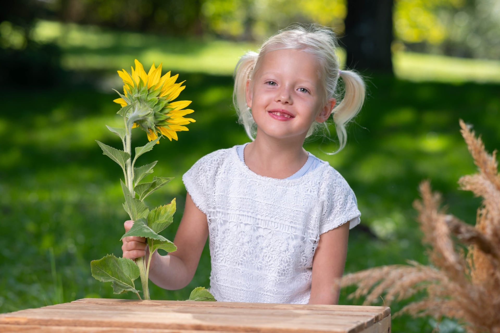 Lachendes Mädchen mit einer großen Sonnenblume an einer Holzkiste im Park