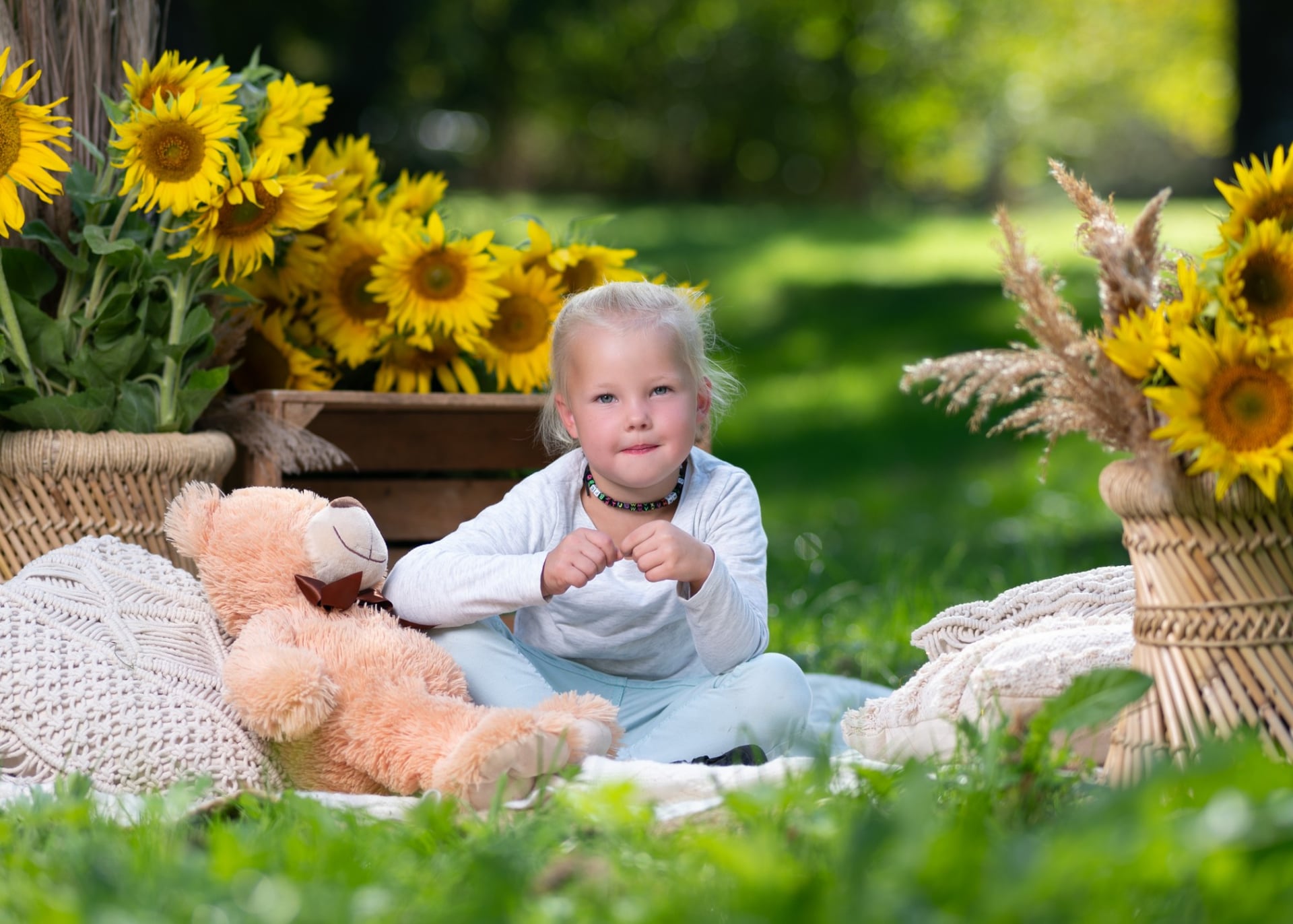 Kind sitzt mit Teddybär zwischen Sonnenblumen