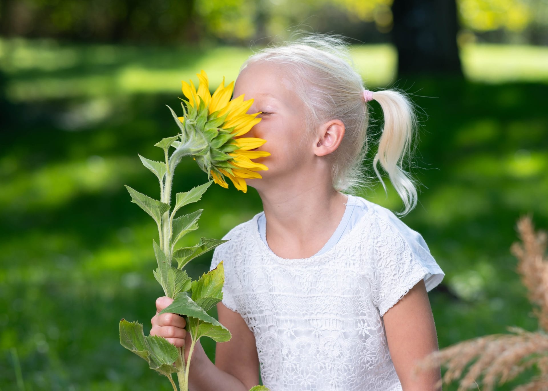 Schulkind riecht draußen an einer großen Sonnenblume